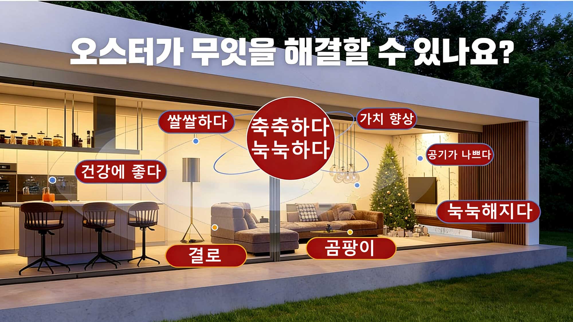 AUSTER Carbon Solution for Indoor Moisture, Condensation & Mold Problems