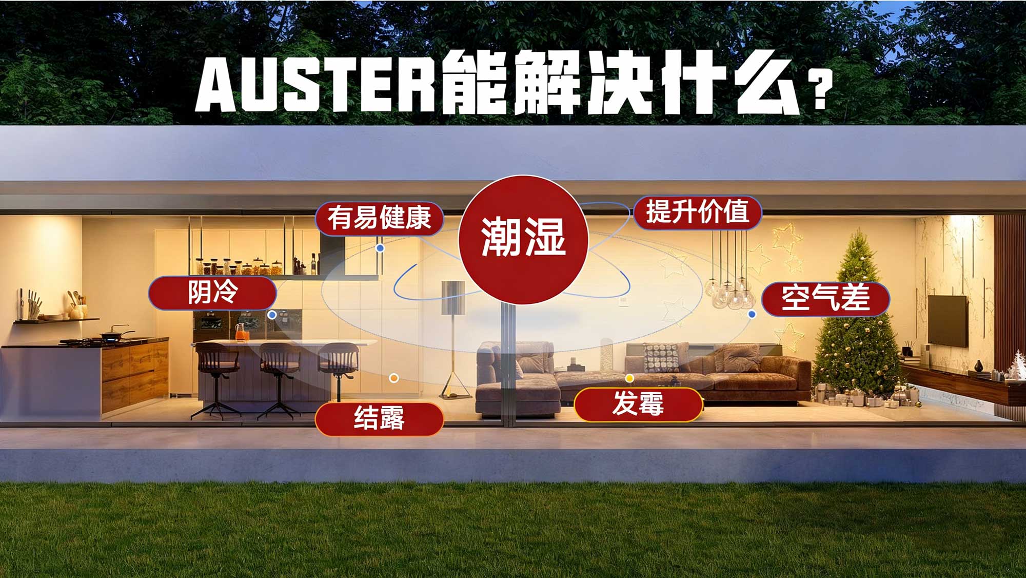 AUSTER carbon 能解决地下室的什么问题？